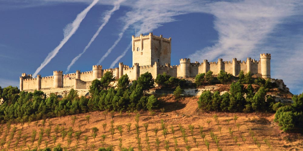 wine maker vineyard Castillo de Peñafiel Valladolid in Spain award winning wine ribero del duero ribeiro for casafari blog article 20 reasons to love about and live in spain buy property for sale real estate malaga mallorca catalunya catalonia 