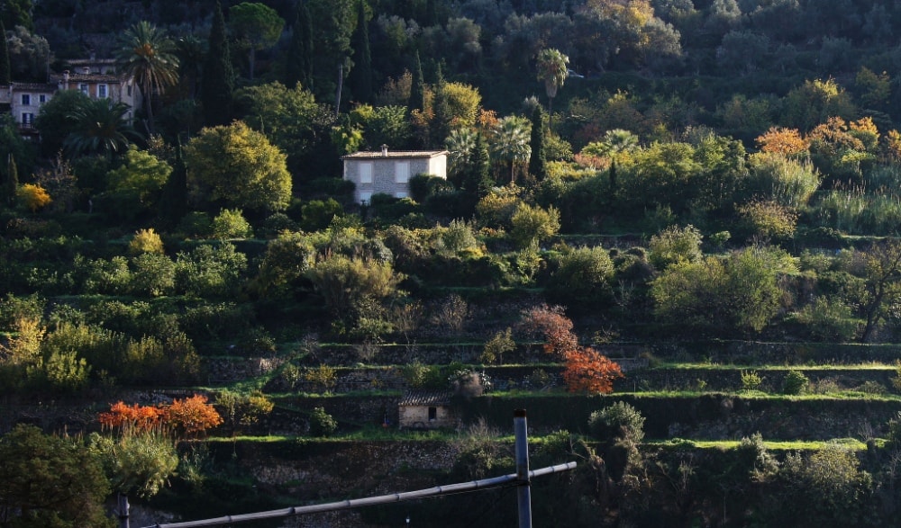 Deia property market is surrounded by beautiful traditional terraces.