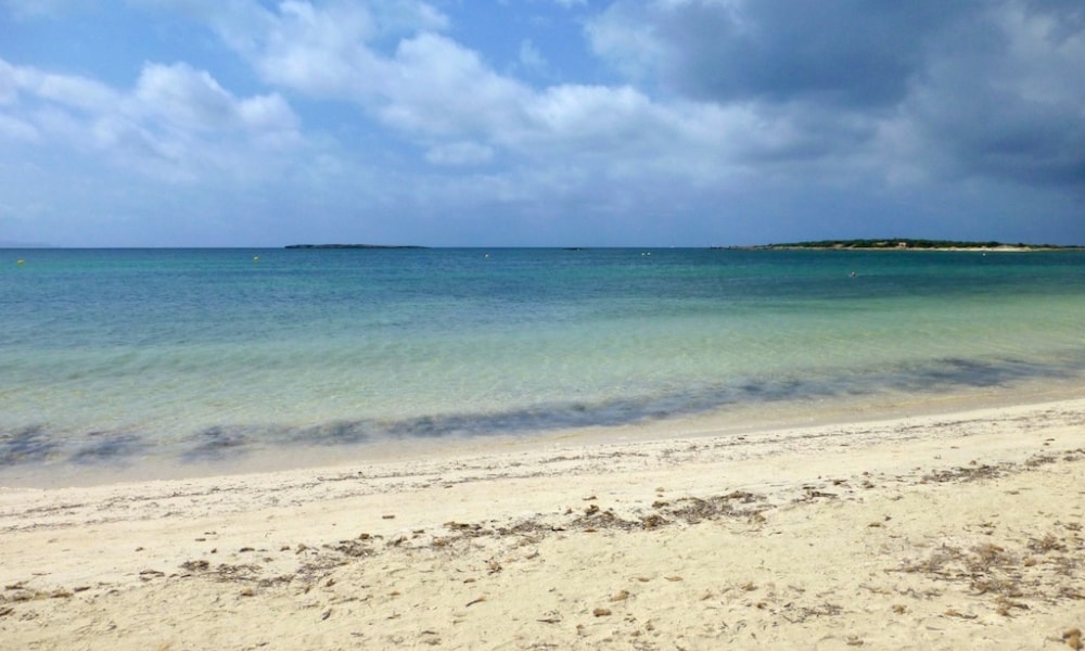 Ses Salines Town property market is surrounded by beautiful nature like beach es carbo.