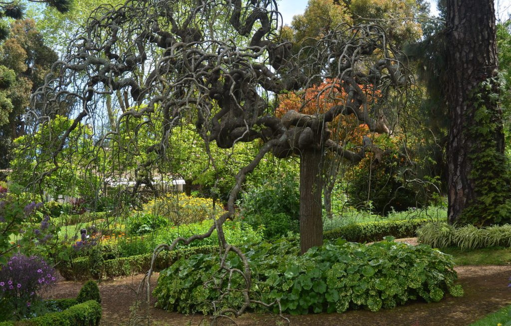 madeira casafari metasearch