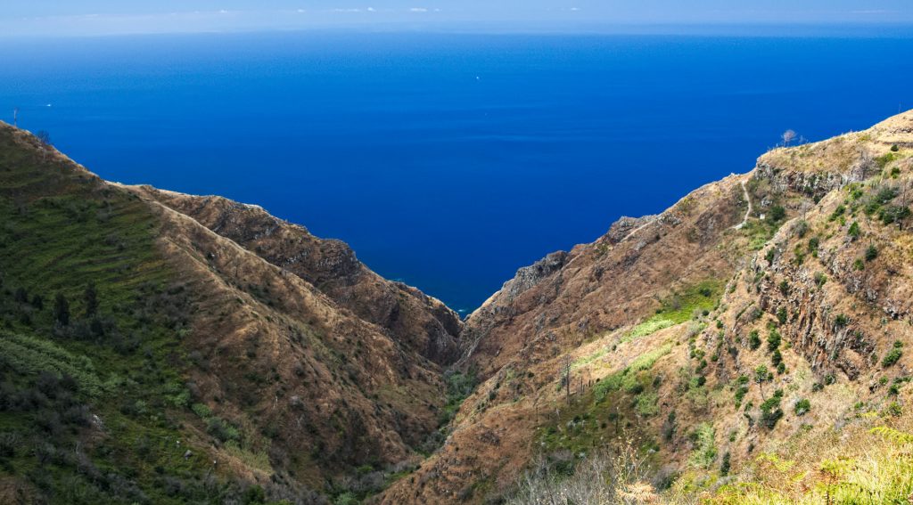 madeira casafari metasearch