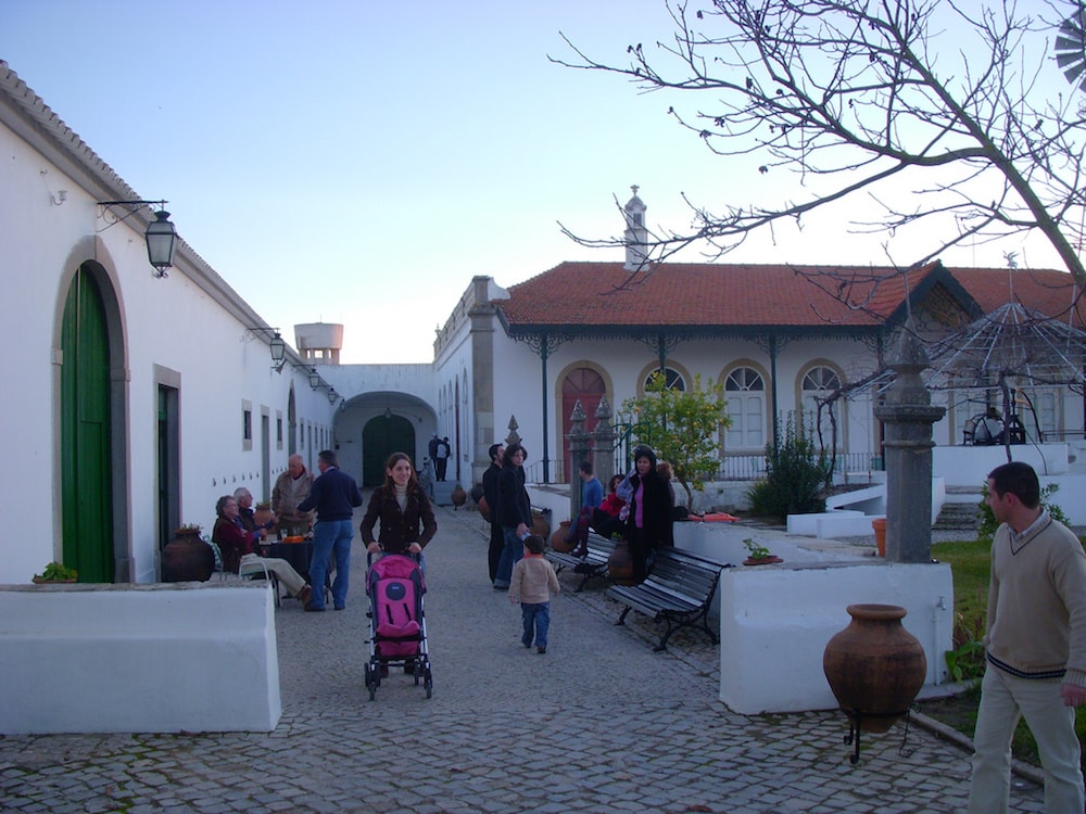 São Bras Property Insight