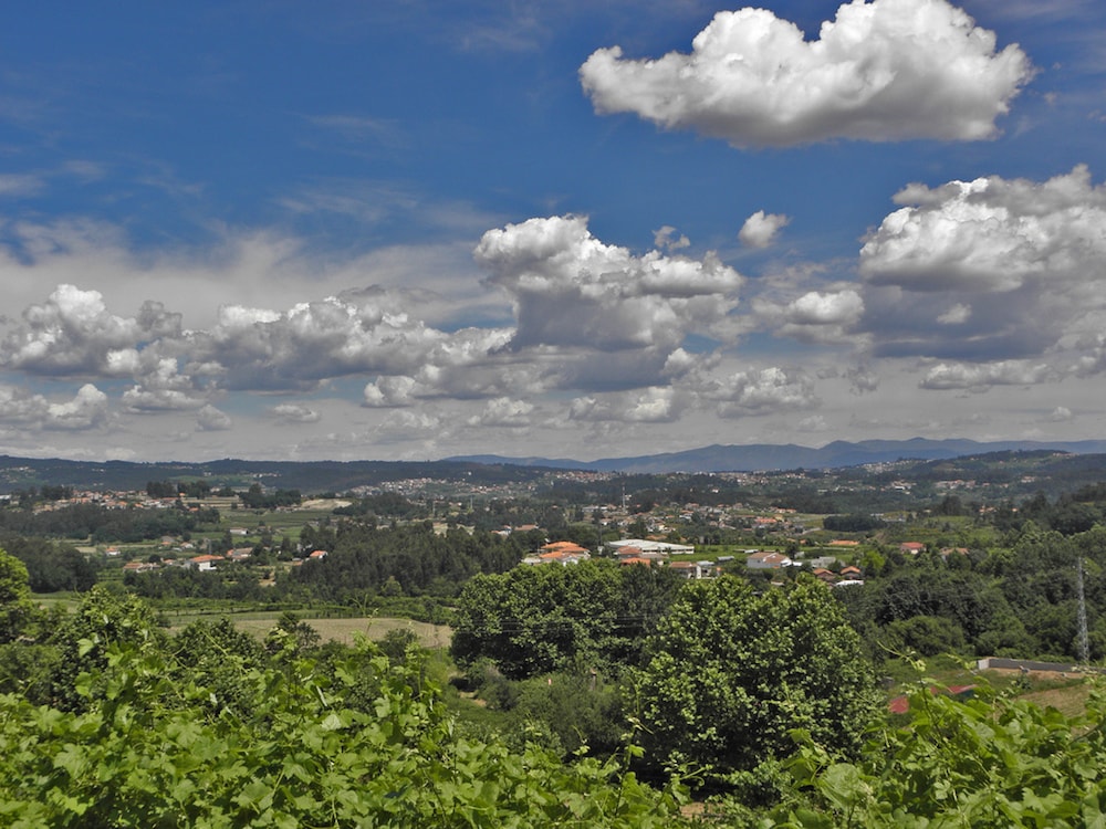 Paisagem verde em meio à natureza de Felgueiras