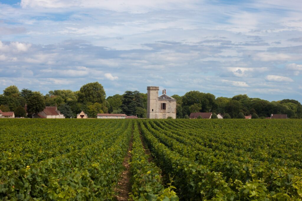 Bourgogne, France