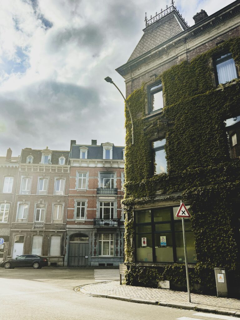 with the help of AI data it's possible to understand which are the best neighbourhoods to invest in real estate in Liège, with the intention of renting for tourism purposes